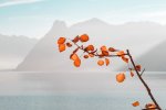 Photo by Simon Matzinger on Unsplash thumbnail